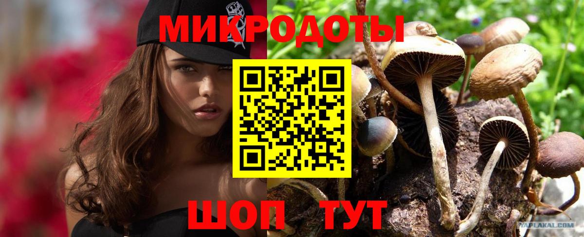 Псилоцибиновые грибы MAGIC MUSHROOMS Советская Гавань