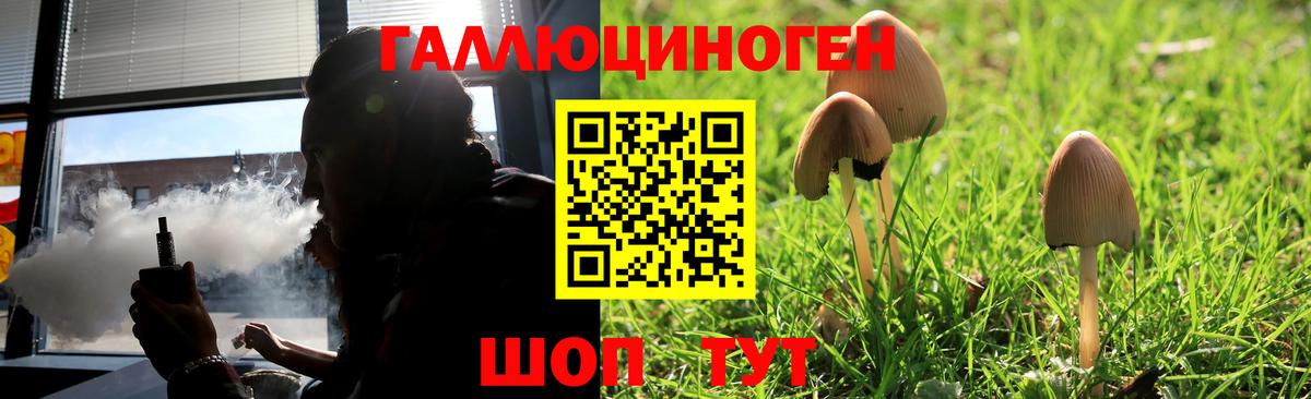 Советская Гавань  Псилоцибиновые грибы прущие грибы  Вход с VPN  Галлюциногенные грибы Psilocybine cubensis 